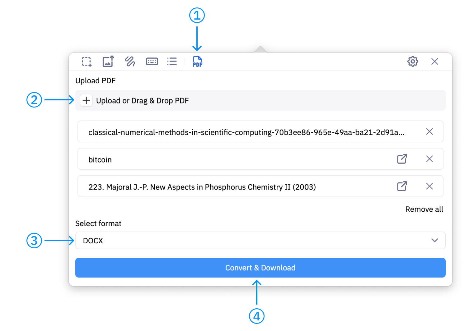 PDF Conversion steps