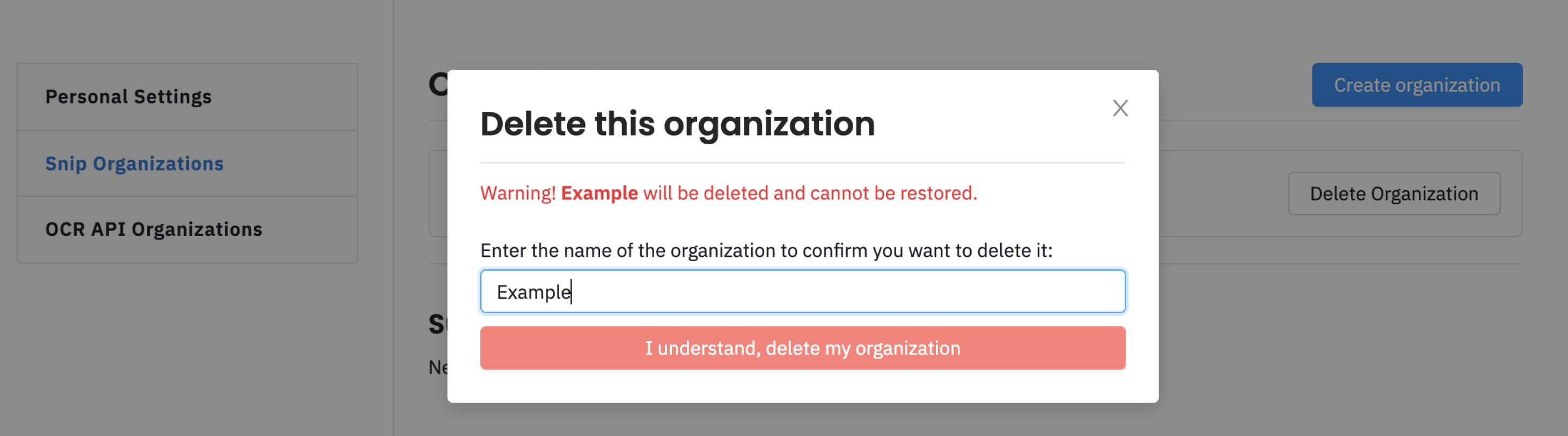 Delete organization modal filled